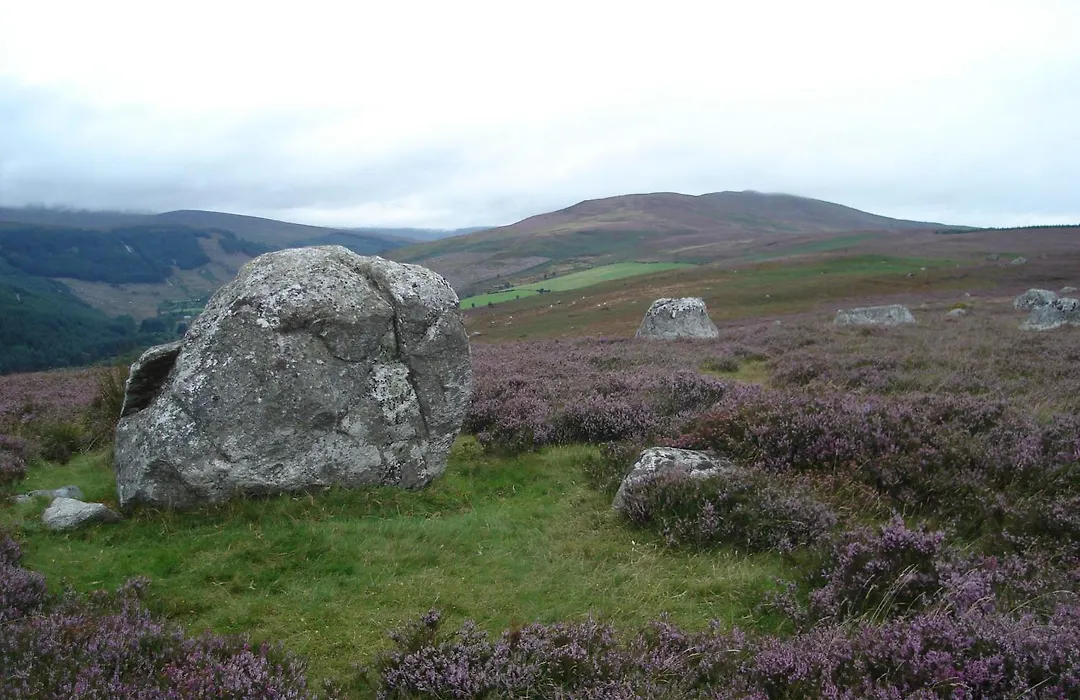 Lough Dan House-1